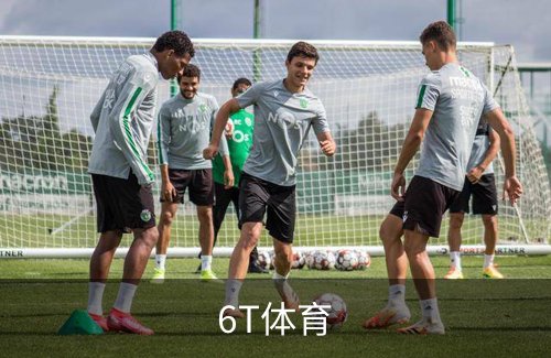6T体育介绍